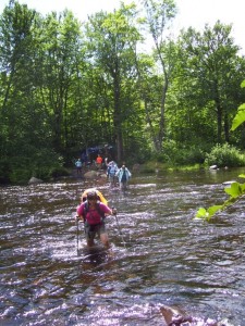 Python crossing the river