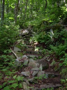 Ascending Nesuntabunt Mtn Ascending Nesuntabunt Mtn