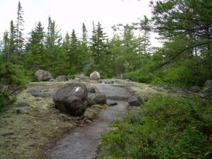 Ascending Rainbow Ledges
