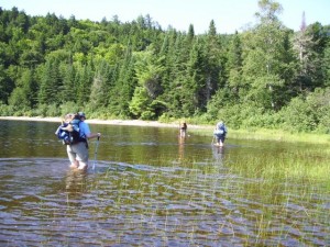 Crossing Wadeligh Stream Crossing Wadeligh Stream