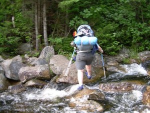 Dirigo rocking hopping