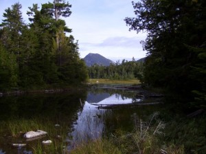 Elbow Pond Elbow Pond