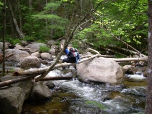 Lower Nesowadnehunk Bridge Lower Nesowadnehunk Bridge