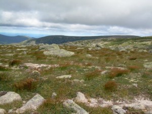 Tablelands Tablelands