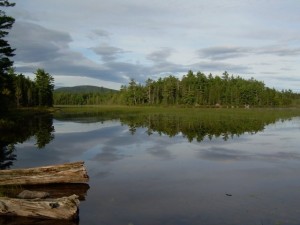 Tracy Pond Tracy Pond