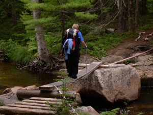 Upper Branch Nesowadnehunk Stream Bridge Upper Branch Nesowadnehunk Stream Bridge