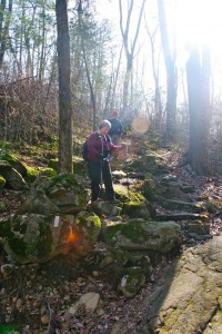 Knitting Bull descending