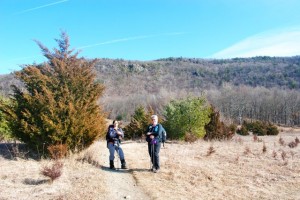 Yup, we came down from there