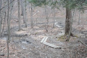 Walking on planks Walking on planks