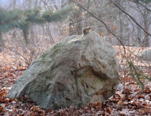 He was talking to us He was talking to us