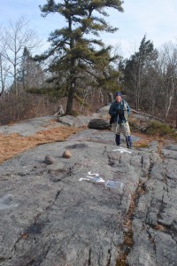 Dirigo at Stateline trail Dirigo at Stateline trail