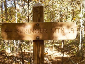 Springer Mtn 0.9 Miles