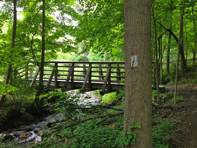 Bridge before shelter Bridge before shelter