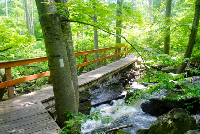 Bridge over Whaley Lake Stream