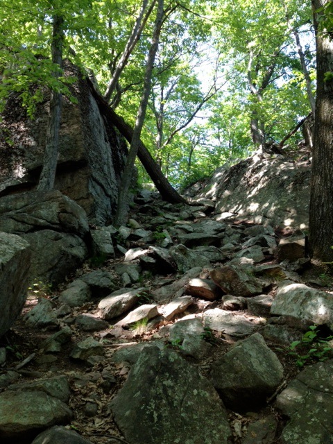 Descending Down Agony Grind Descending Down Agony Grind