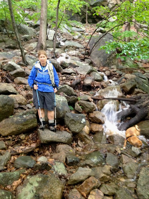 Dirigo at the falls Dirigo at the falls