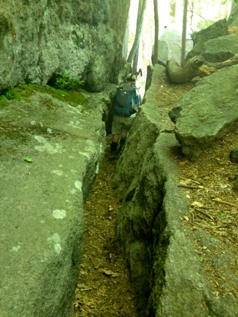 Dirigo in Lemon Squeezer Dirigo in Lemon Squeezer