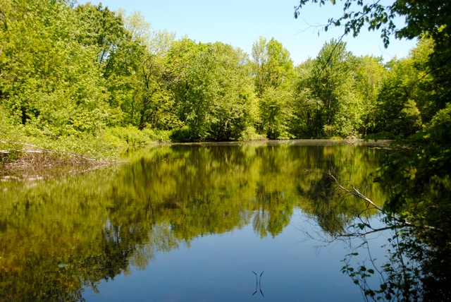 Little Dam Lake Little Dam Lake
