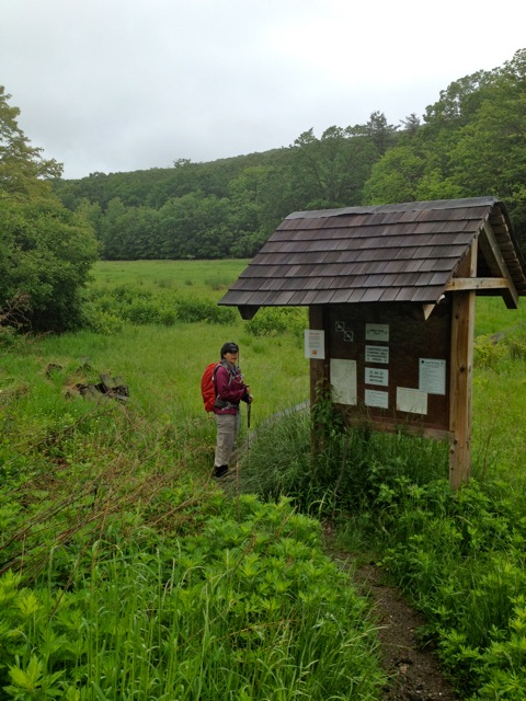 Python starting at US 9 Python starting at US 9