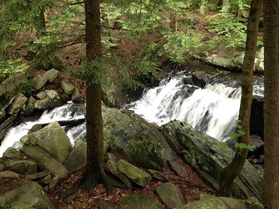 Looking down stream Looking down stream