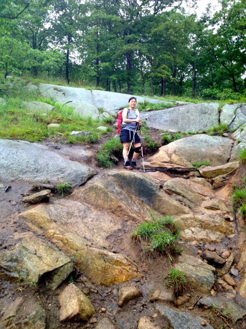 "The Professional" "The Professional"