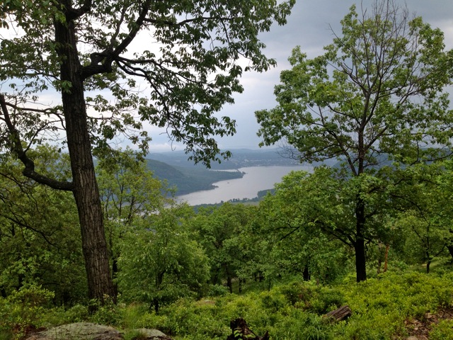 View from the trail View from the trail