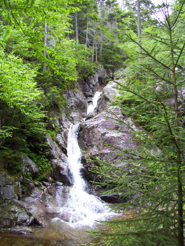 Gibbs Falls Gibbs Falls