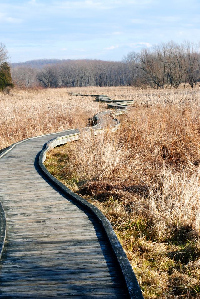 Pochuck boardwalk