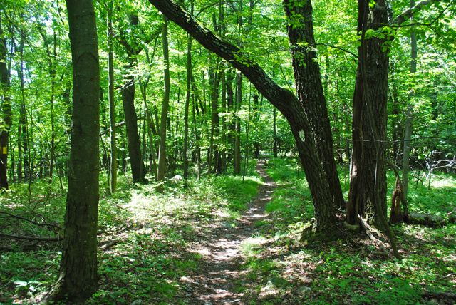 Appalachian Trail Appalachian Trail
