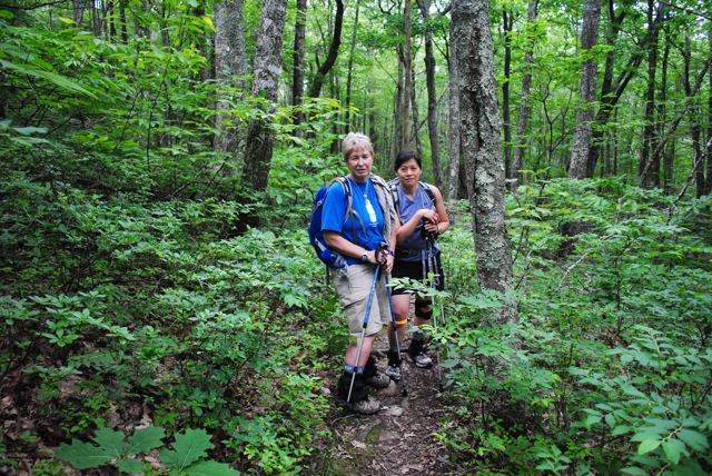 Dirigo & Python Dirigo & Python