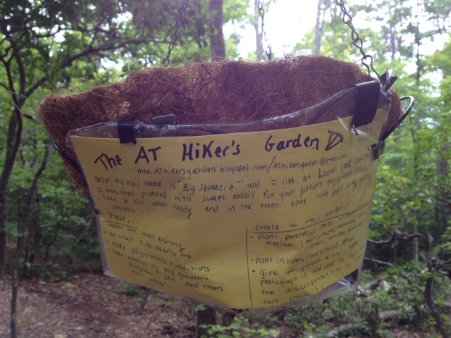 AT Hiker's Garden AT Hiker's Garden