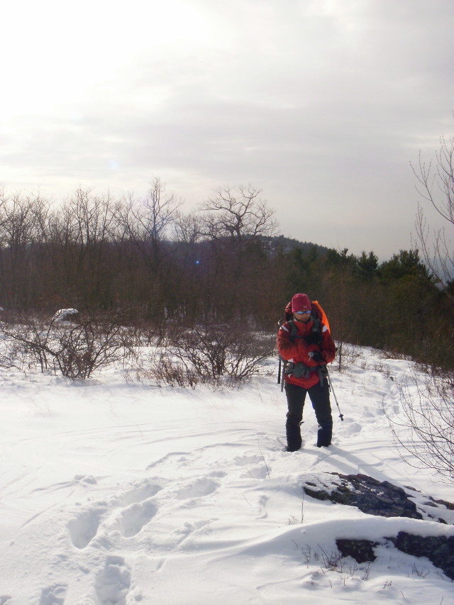 Python in deeper snow Python in deeper snow