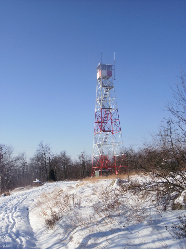 Catfish fire tower