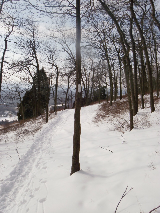 Trail with blaze Trail with blaze