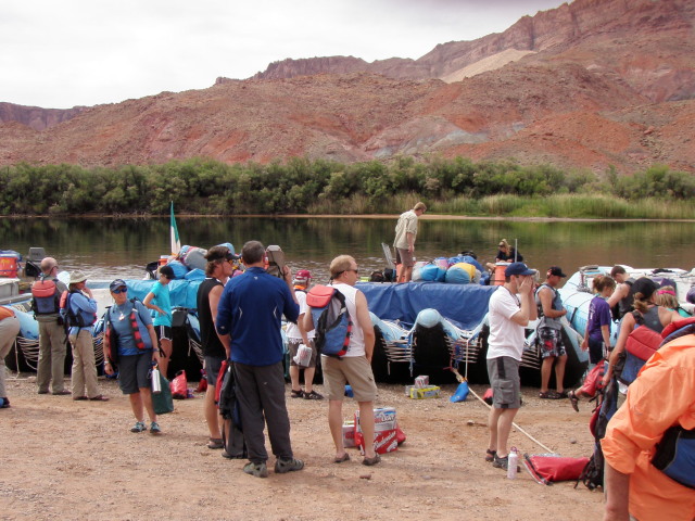 Organized Chaos Organized Chaos