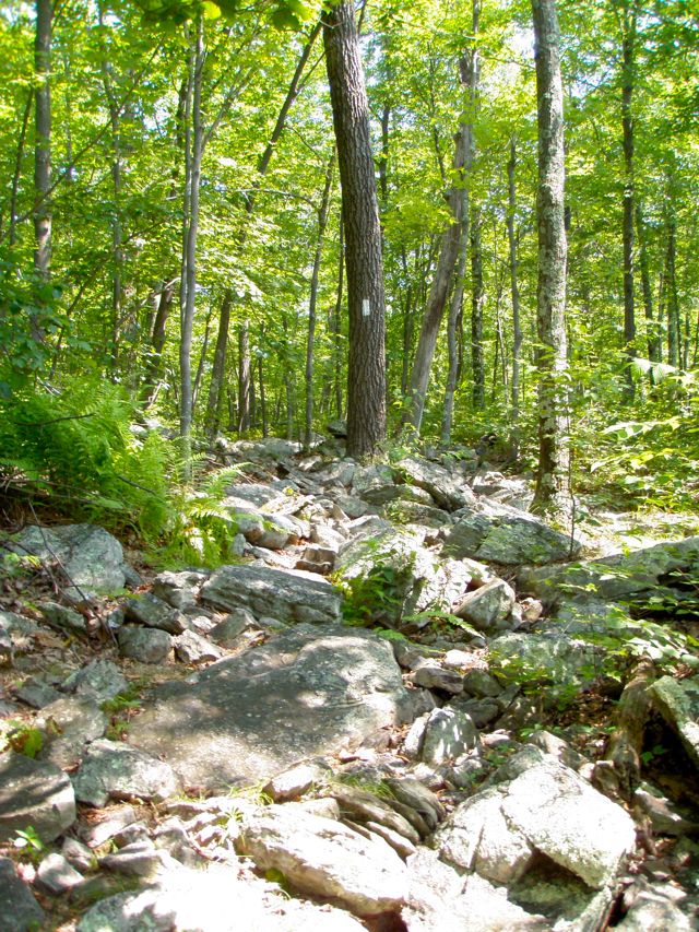 Rocks that need to go back to PA! Rocks that need to go back to PA!