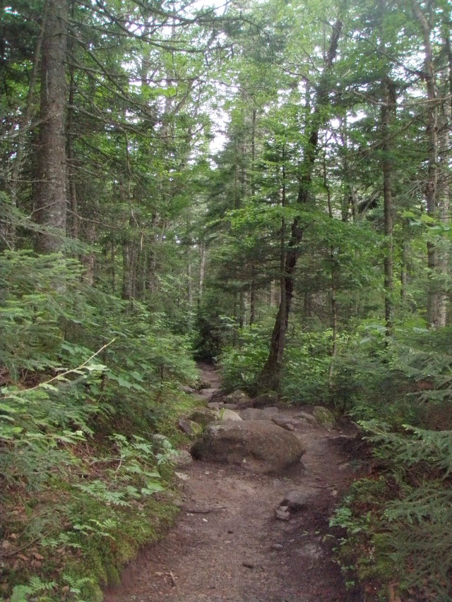 Crawford Path Crawford Path