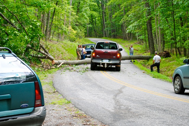 Tree down on 658 Tree down on 658