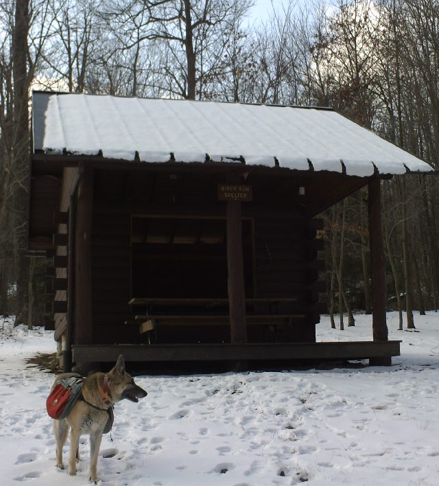 Birch Run Shelter