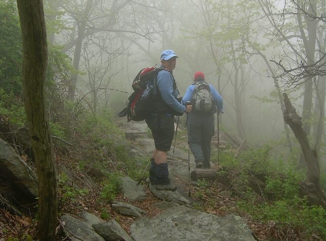 Dirigo & B-Squared Dirigo & B-Squared