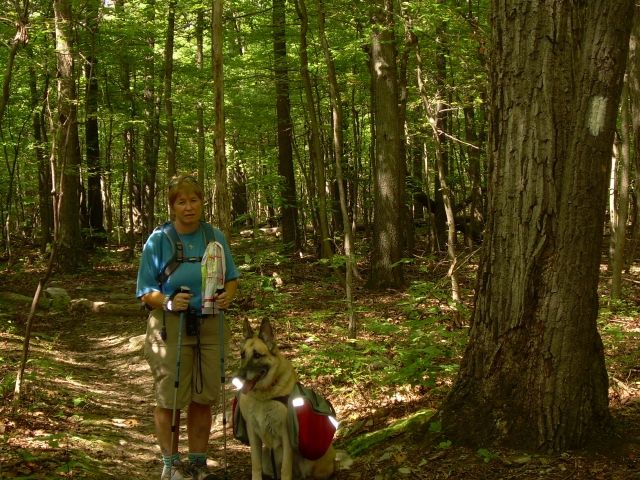 Dirigo & Zero Dirigo & Zero