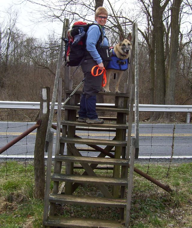 Dirigo & Zero Dirigo & Zero