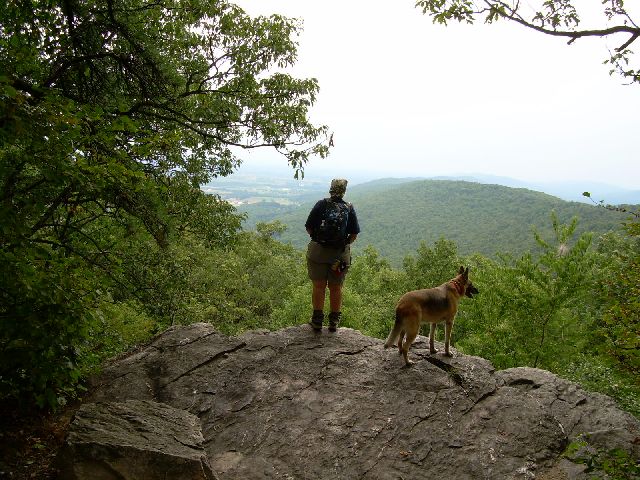 Dirigo & Zero enjoying the view