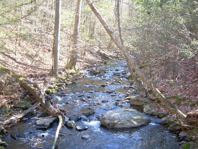 Falls Creek Falls Creek