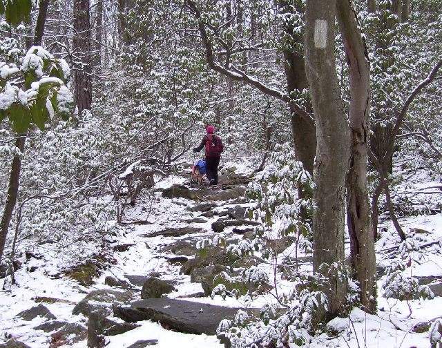 Lovely Snow Lovely Snow