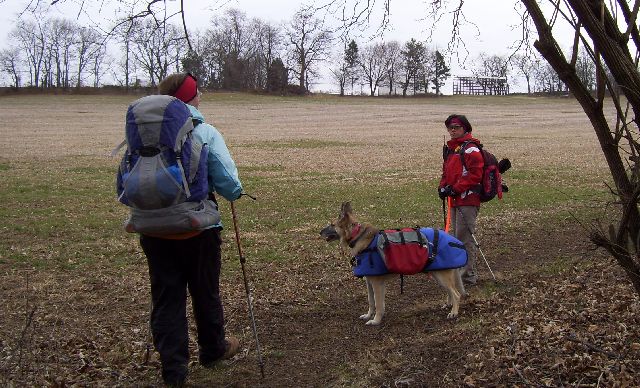 More farm fields More farm fields