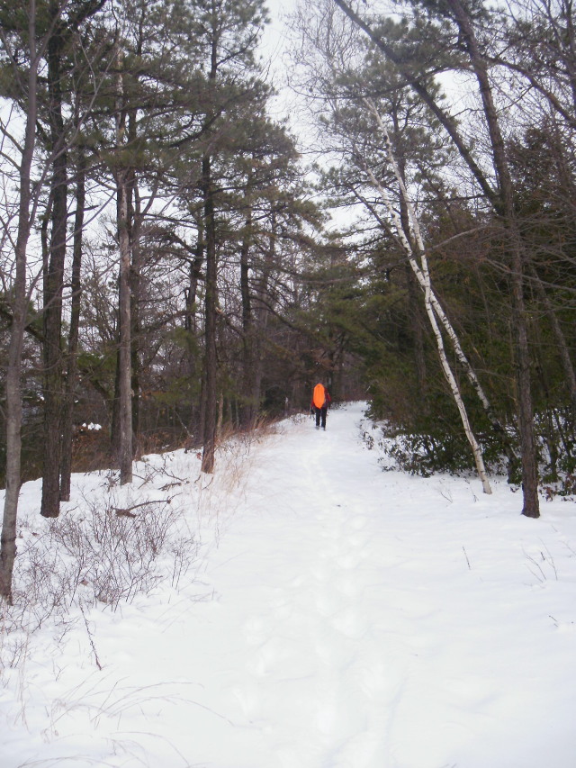 Lovely trail Lovely trail