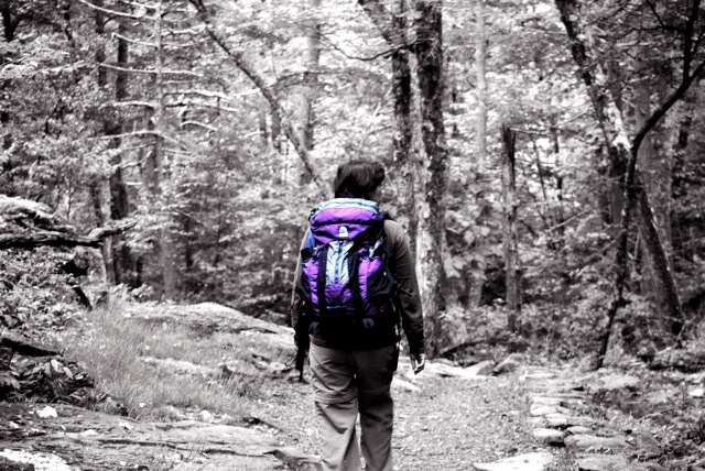 Hiking towards Dark Hollow Falls