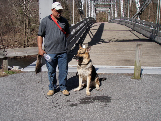 German Shepherd German Shepherd