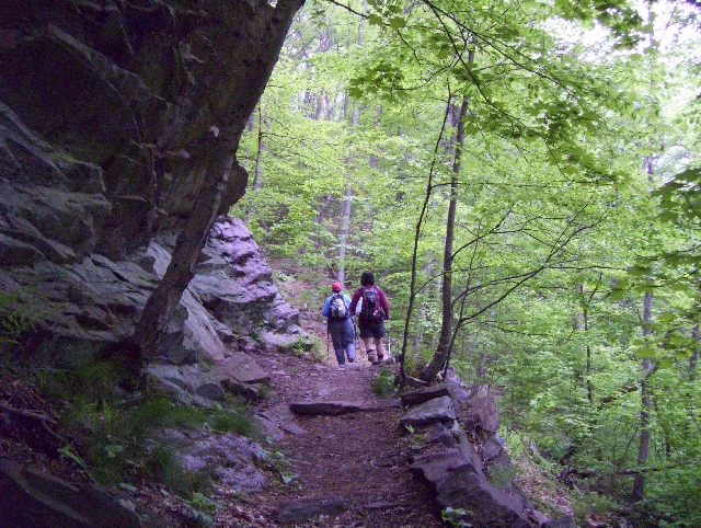 Ascending Peters Mountain Ascending Peters Mountain